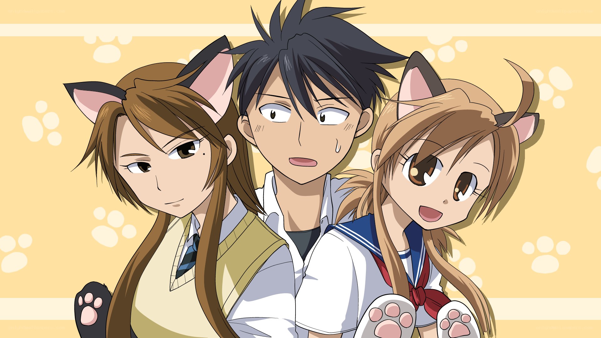 Anime characters with animal ears