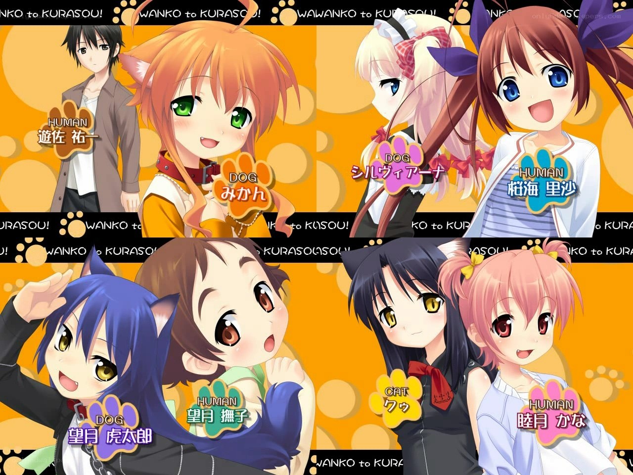 Anime characters with animal ears