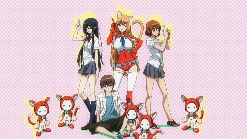 anime characters with cat creatures
