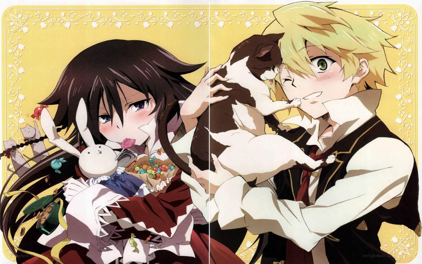 anime characters with cats