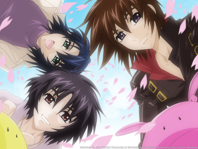 Anime characters with cherry blossoms