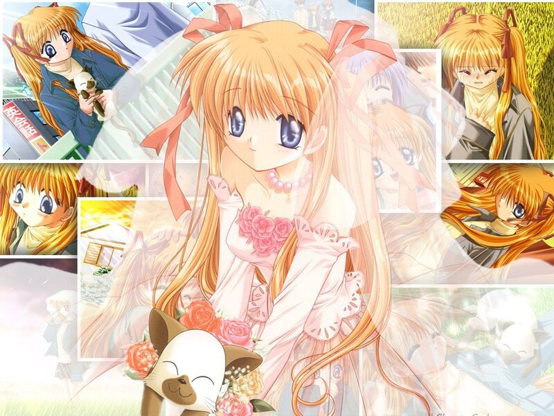 anime collage with cat