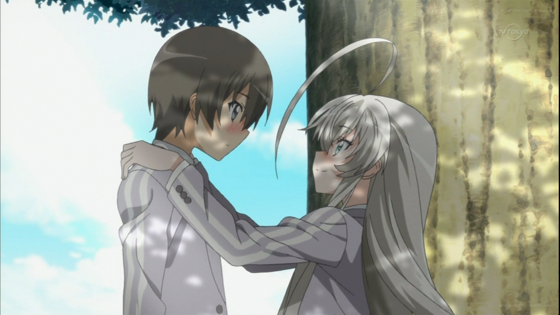 Anime couple embracing under tree