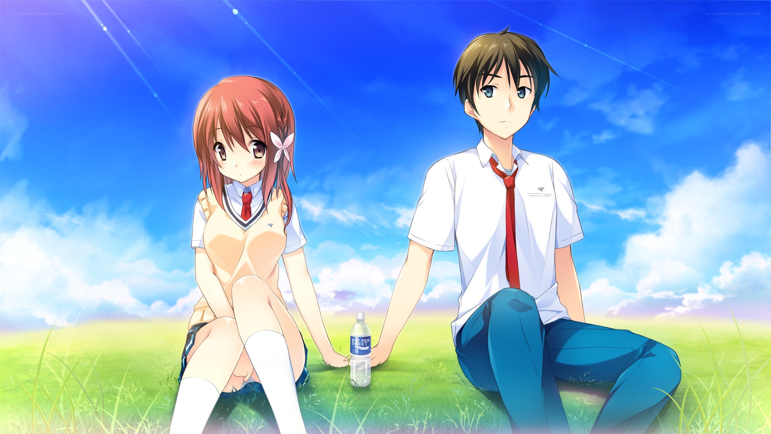 Anime couple in a field