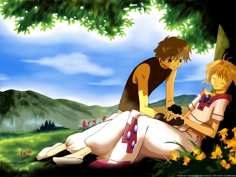 Anime couple in a field