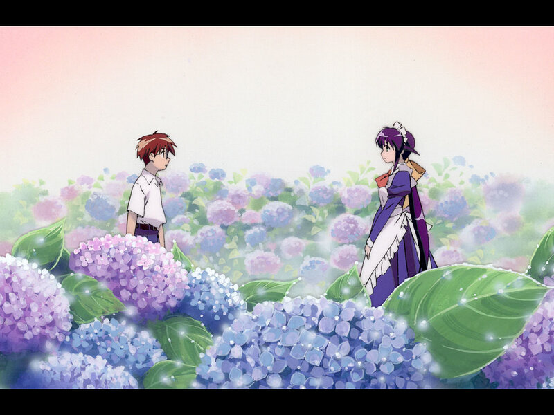 Anime couple in hydrangea field