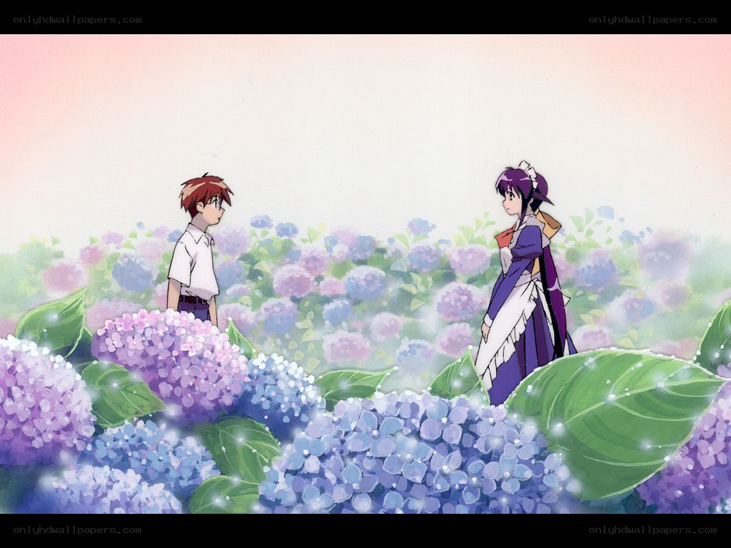 Anime couple in hydrangea field
