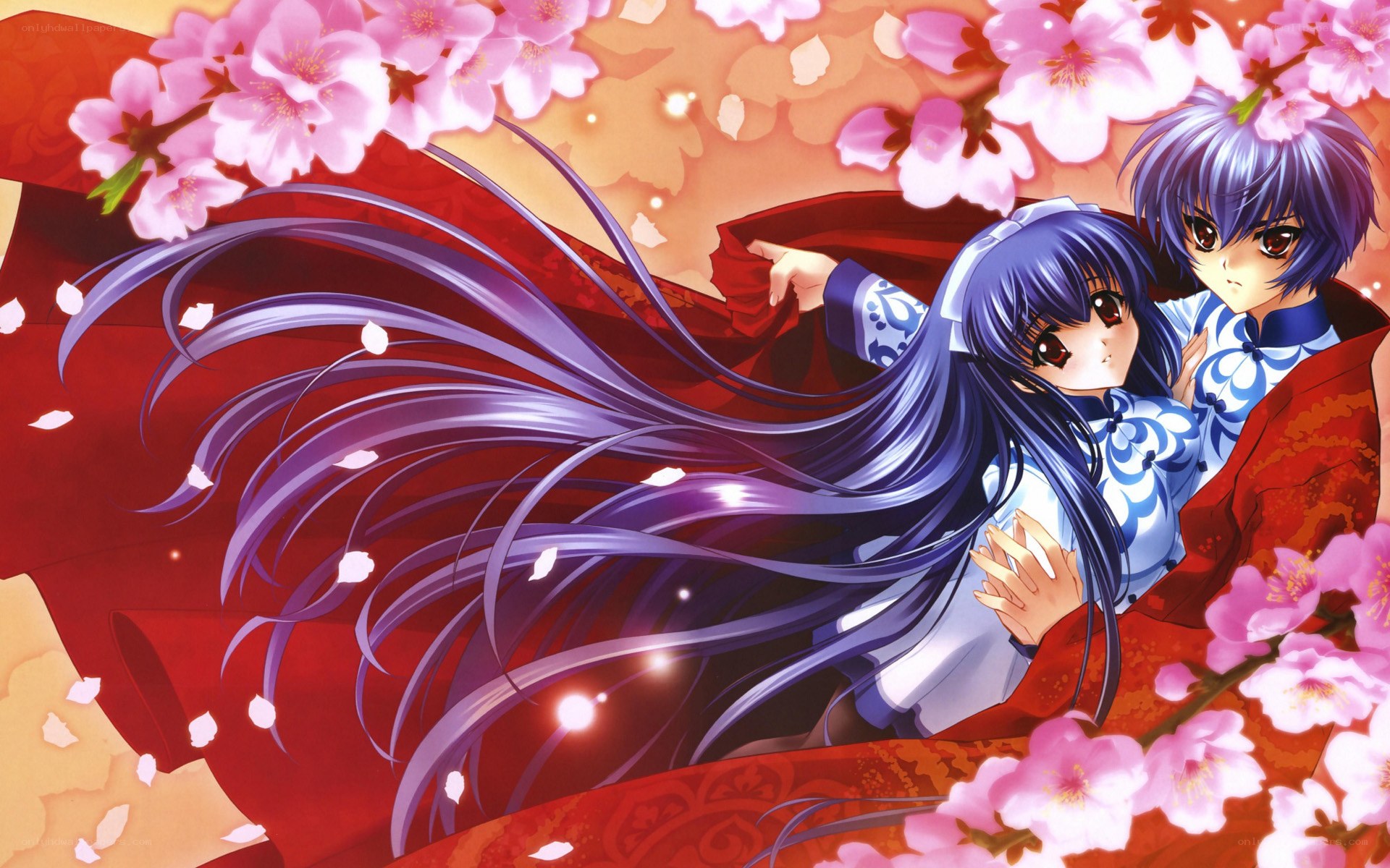 anime couple under cherry blossoms