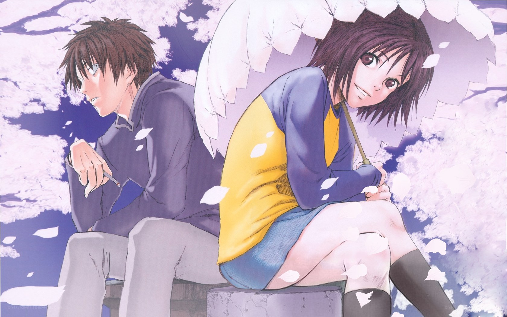 Anime couple under cherry blossoms