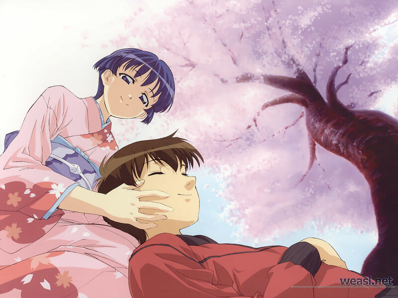 Anime couple under cherry blossoms