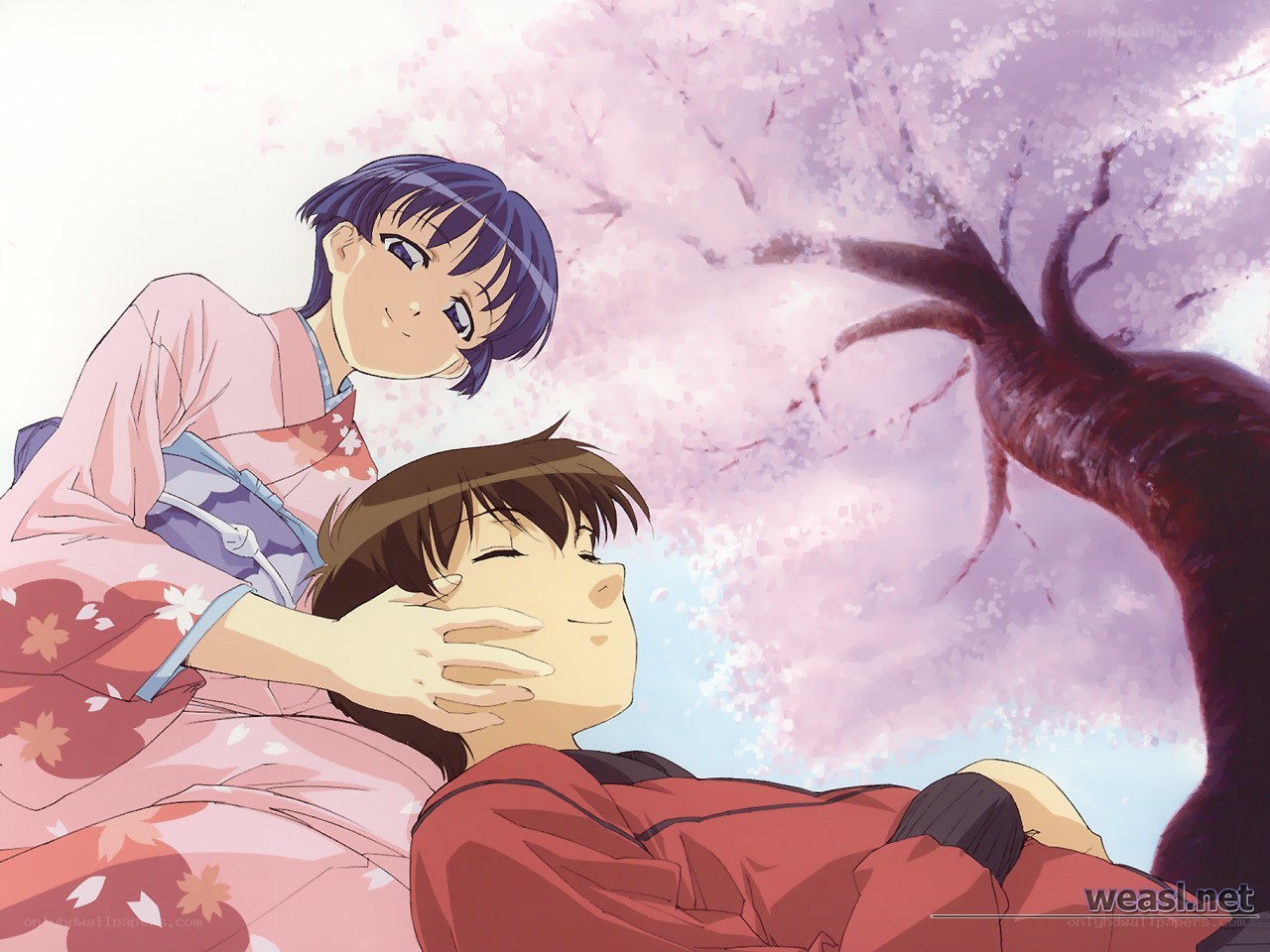 Anime couple under cherry blossoms
