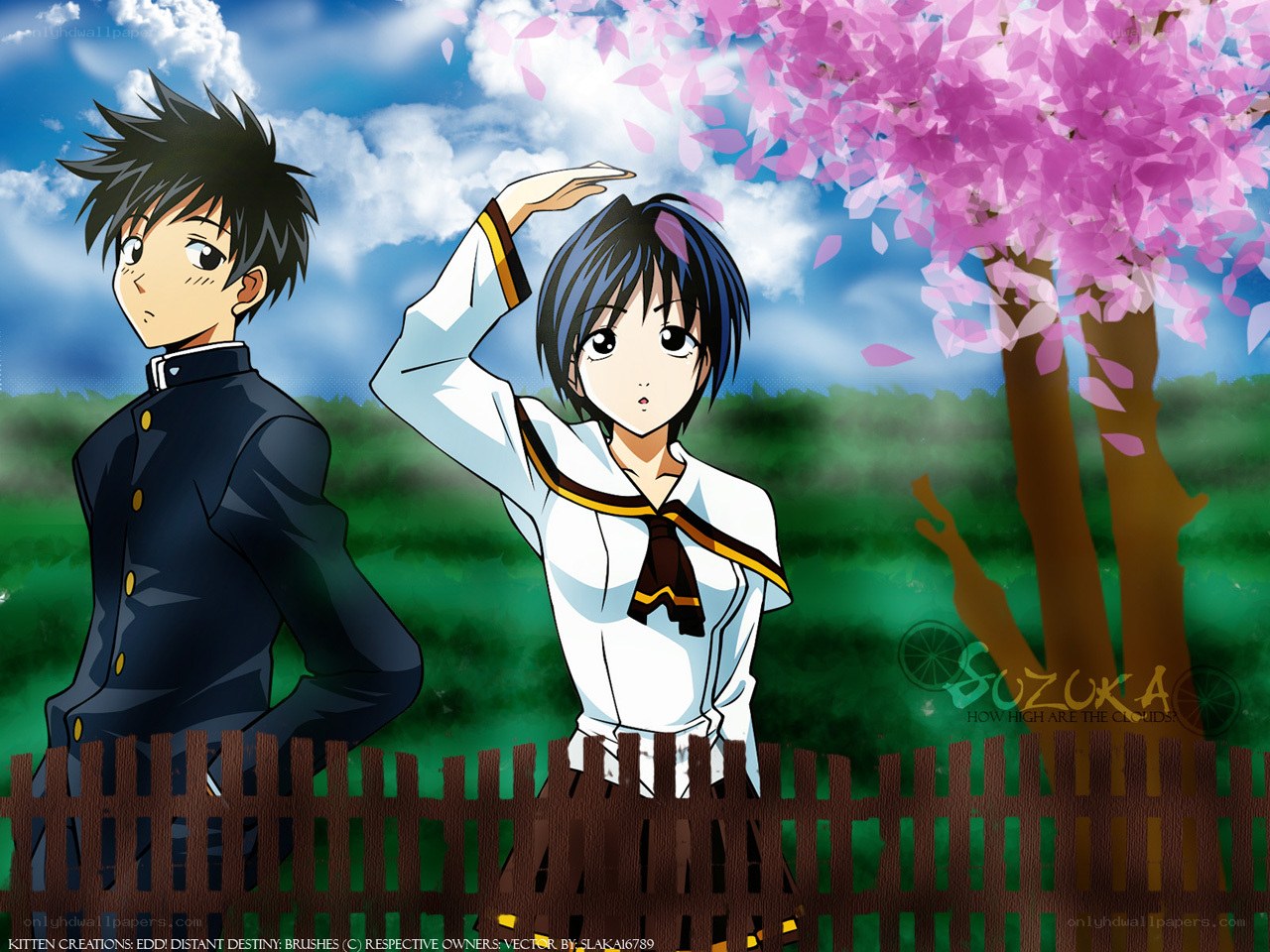 Anime couple under cherry blossoms