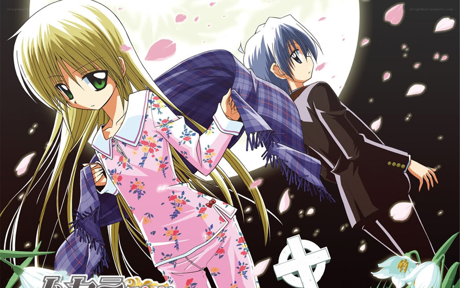 Anime couple under cherry blossoms