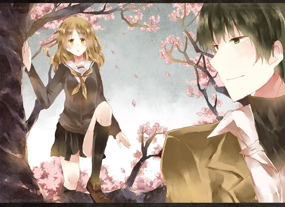 Anime couple under cherry blossoms