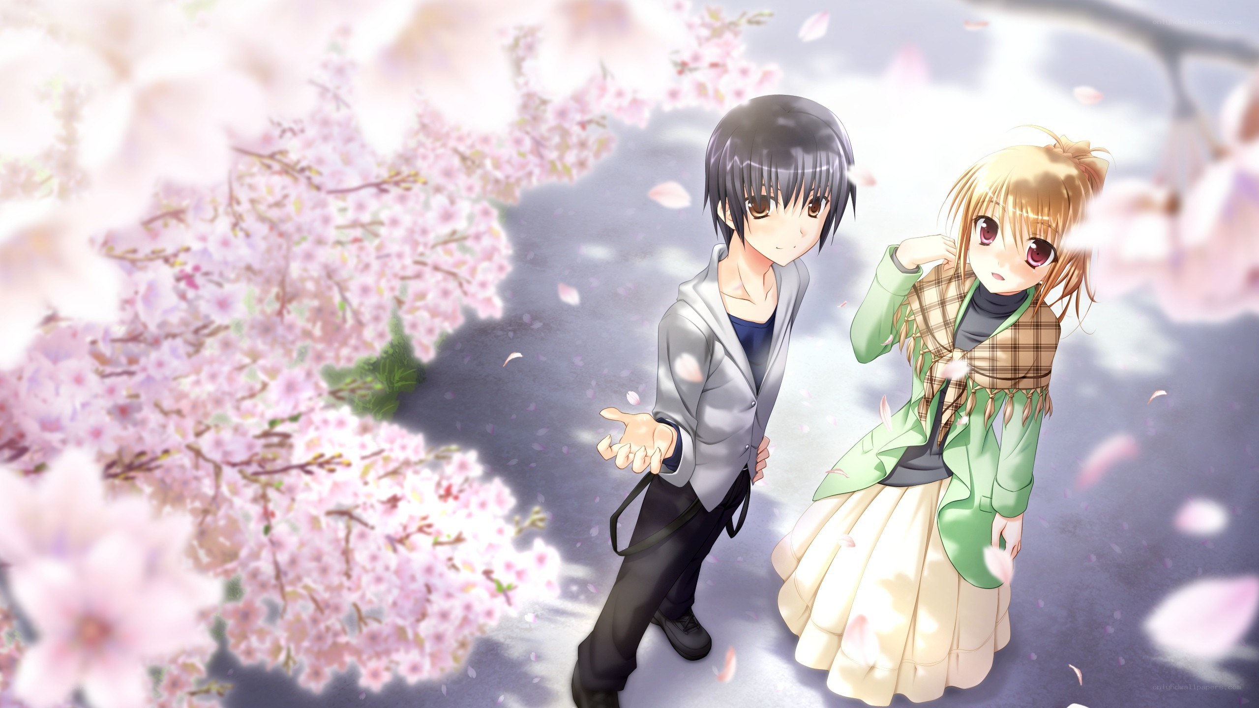 anime couple under cherry blossoms