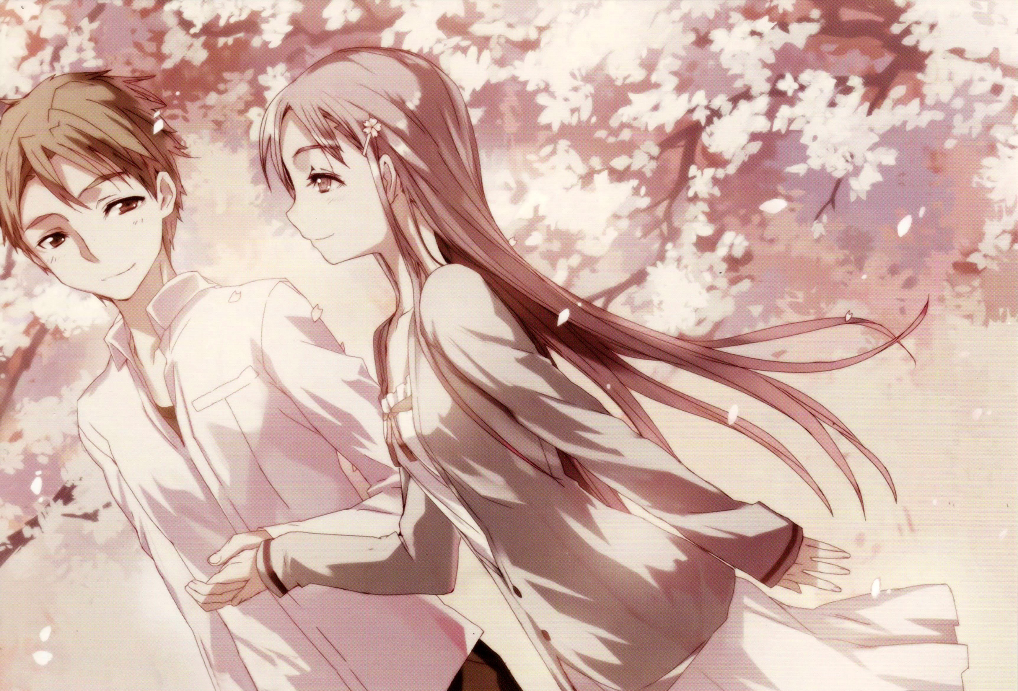 anime couple under cherry blossoms