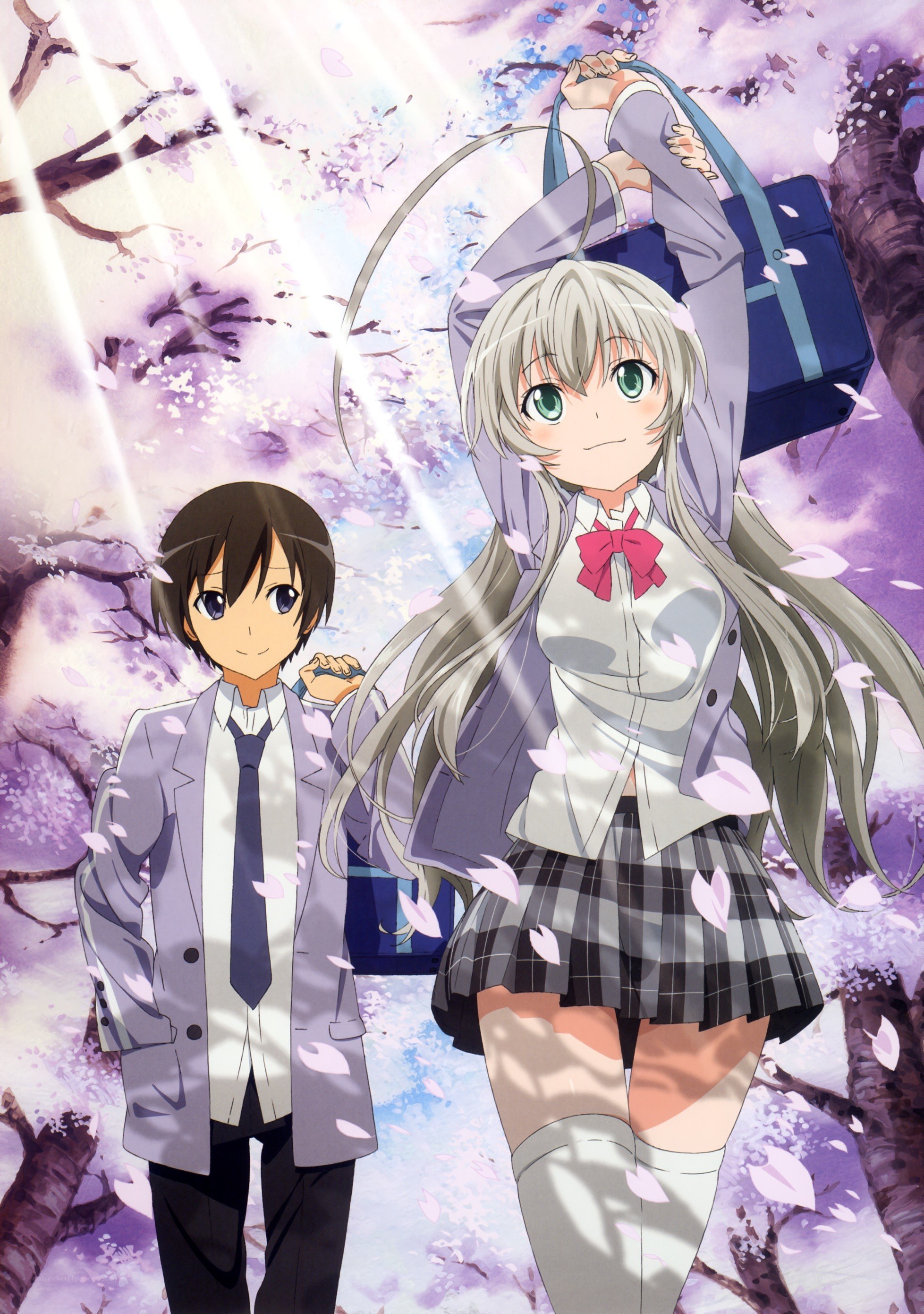 Anime couple under cherry blossoms