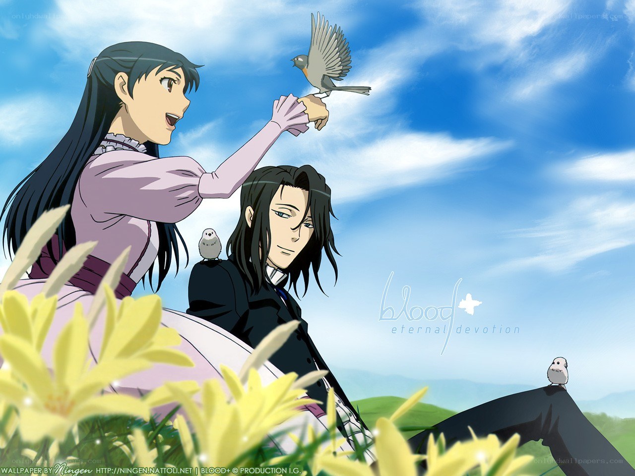 Anime couple with birds in field