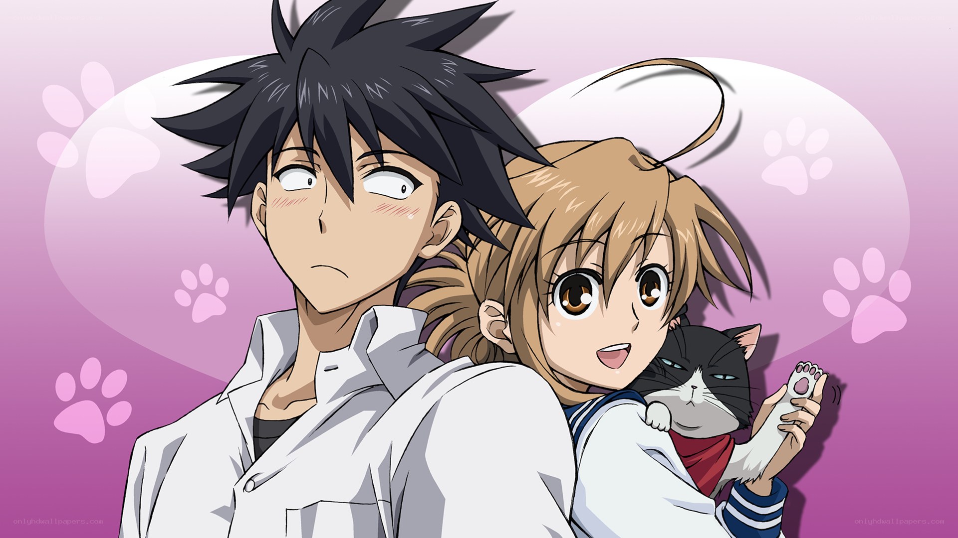 anime couple with cat