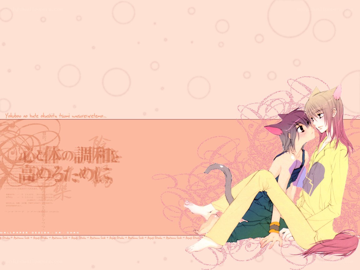 anime couple with cat ears