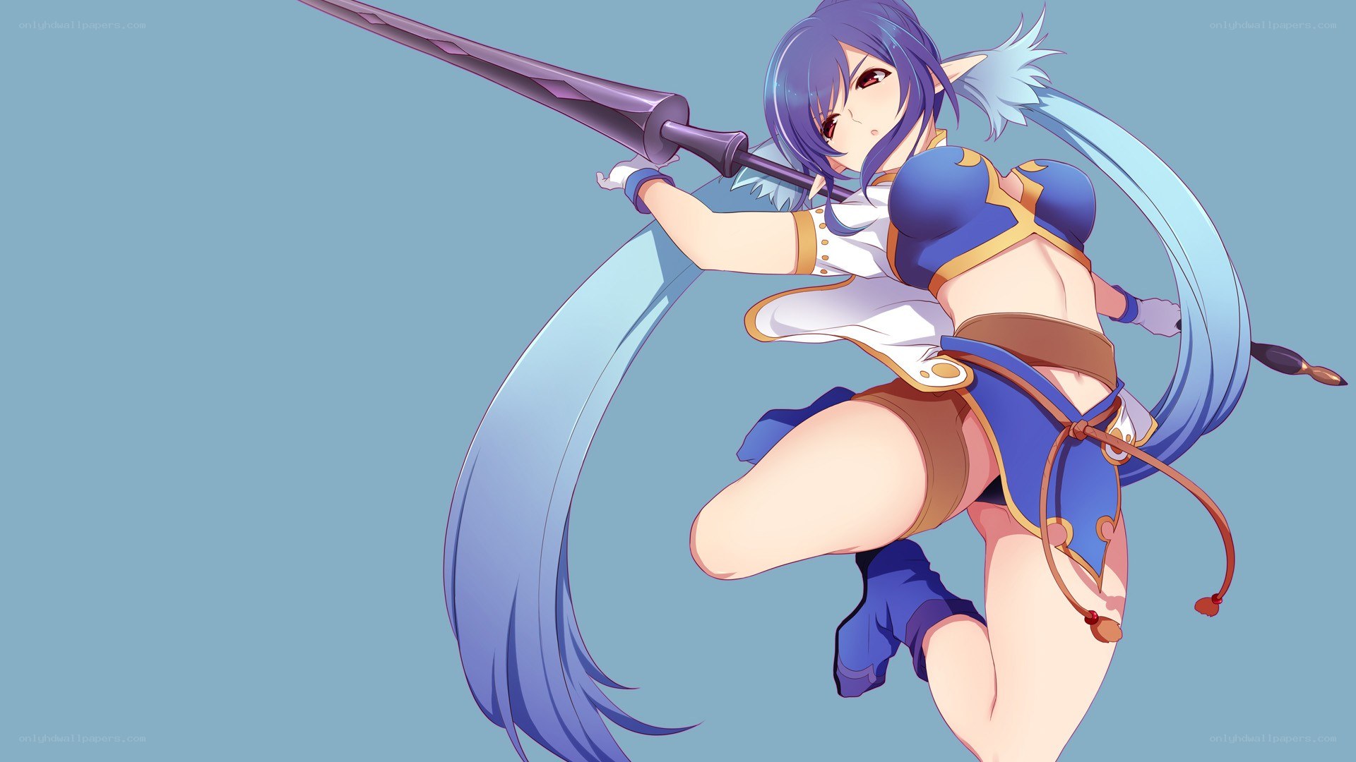 anime elf warrior with sword