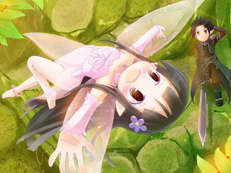 anime fairy and swordsman
