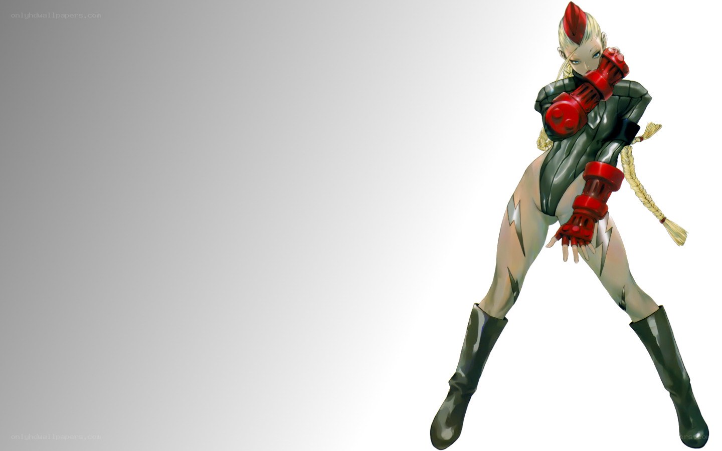 anime fighter character