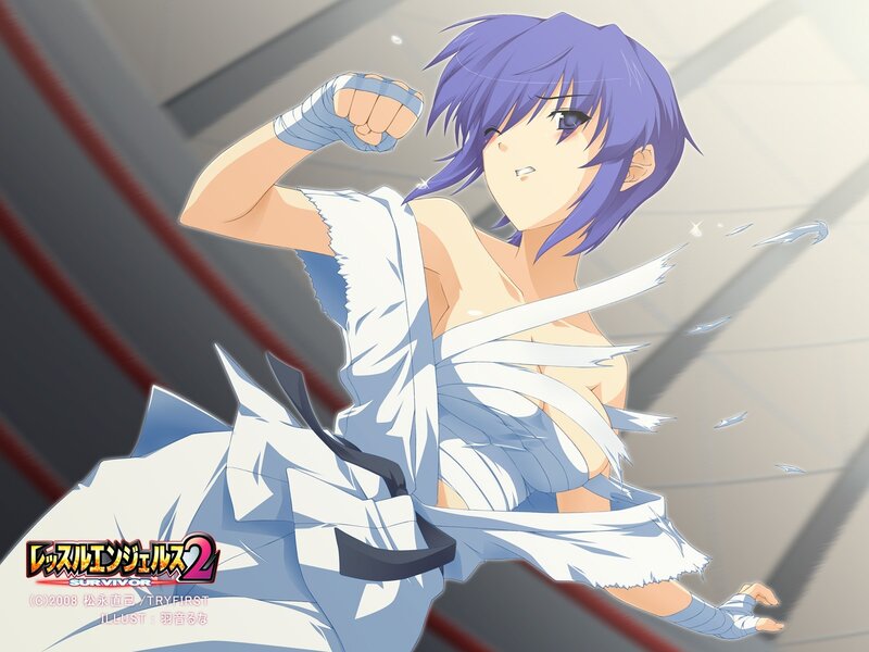 anime fighter in action