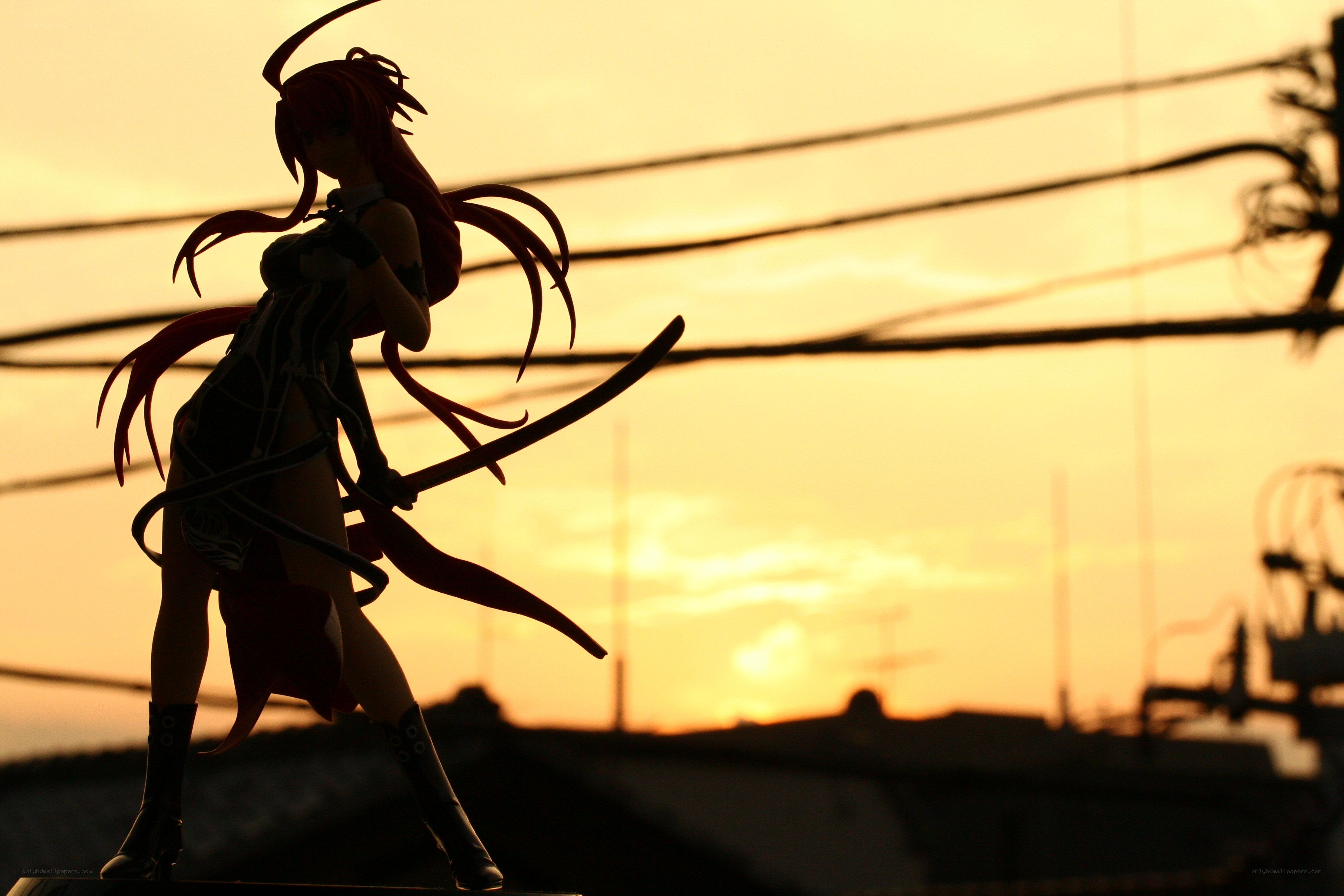 anime figure at sunset