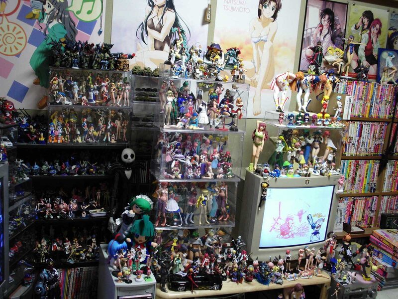 Anime figure collection room