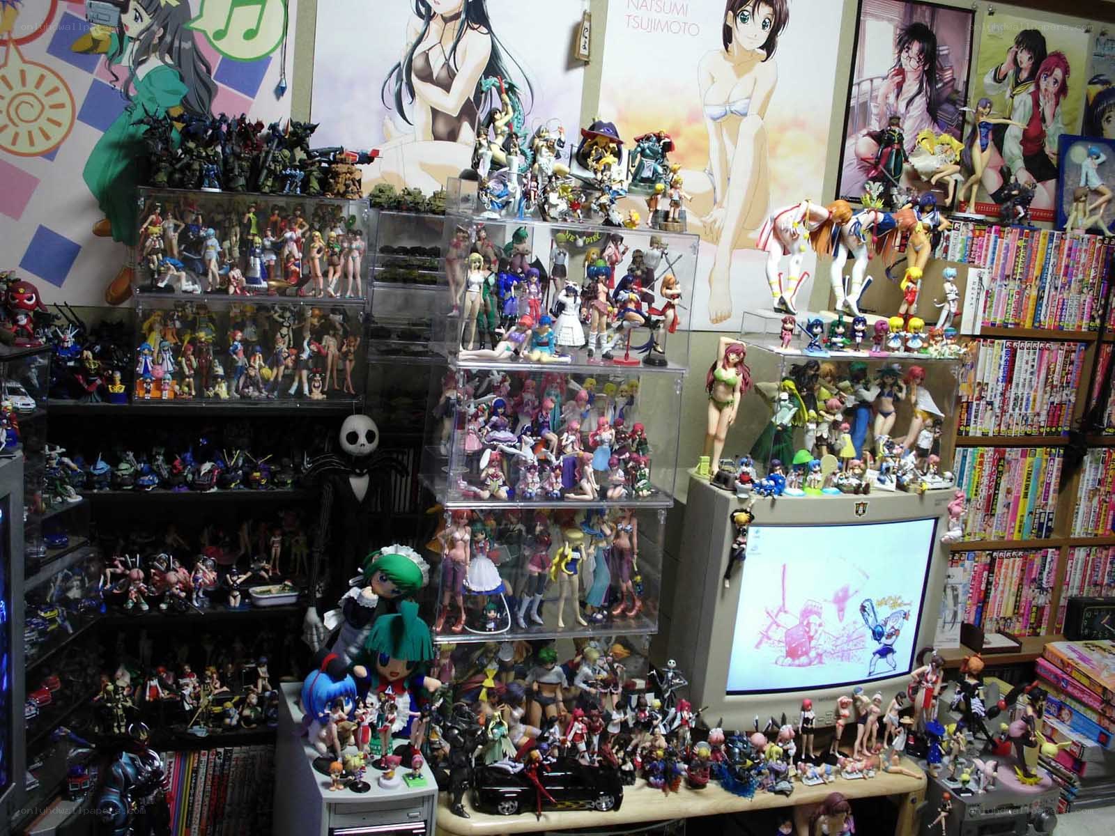 Anime figure collection room