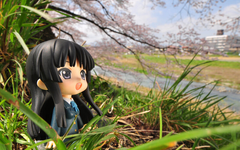 Anime figure in cherry blossom park