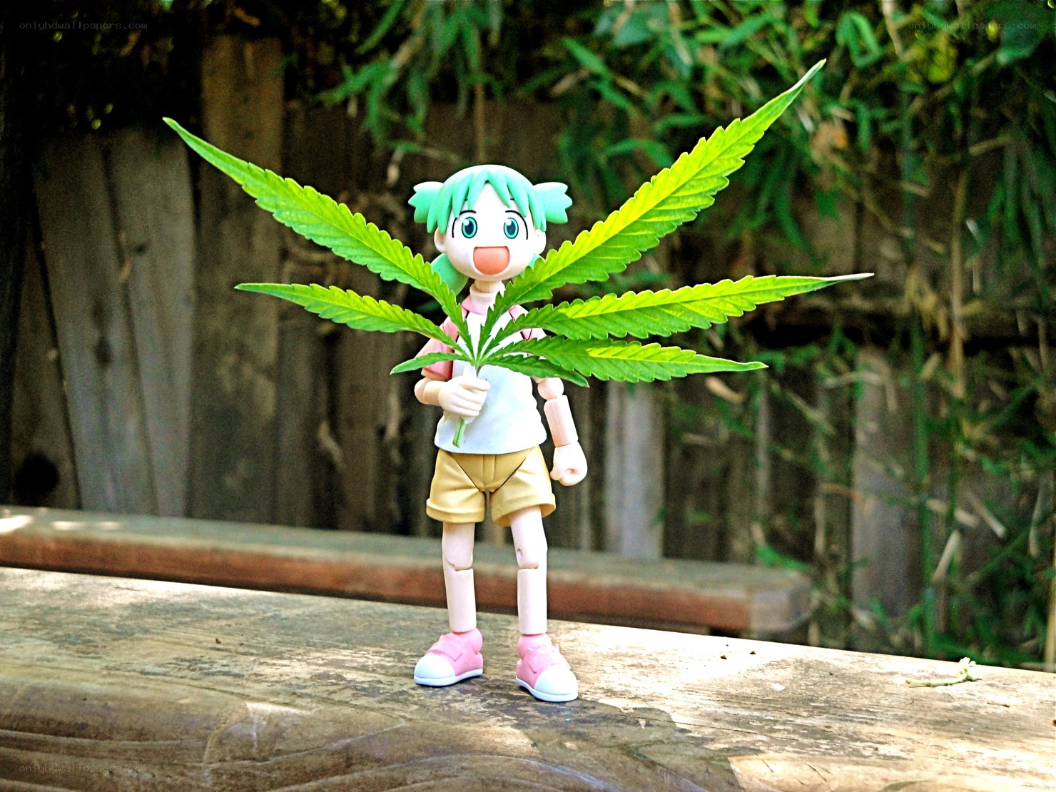 Anime figure with cannabis leaf