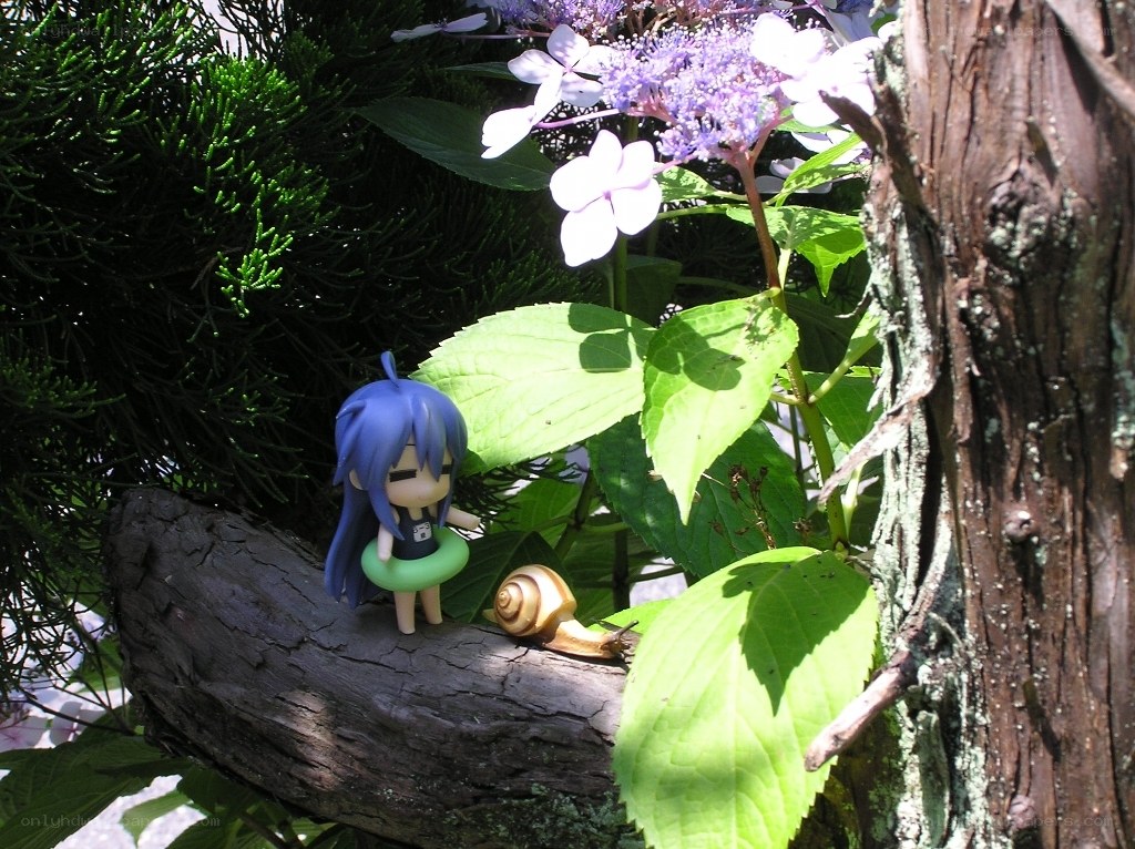 Anime figure with snail in garden