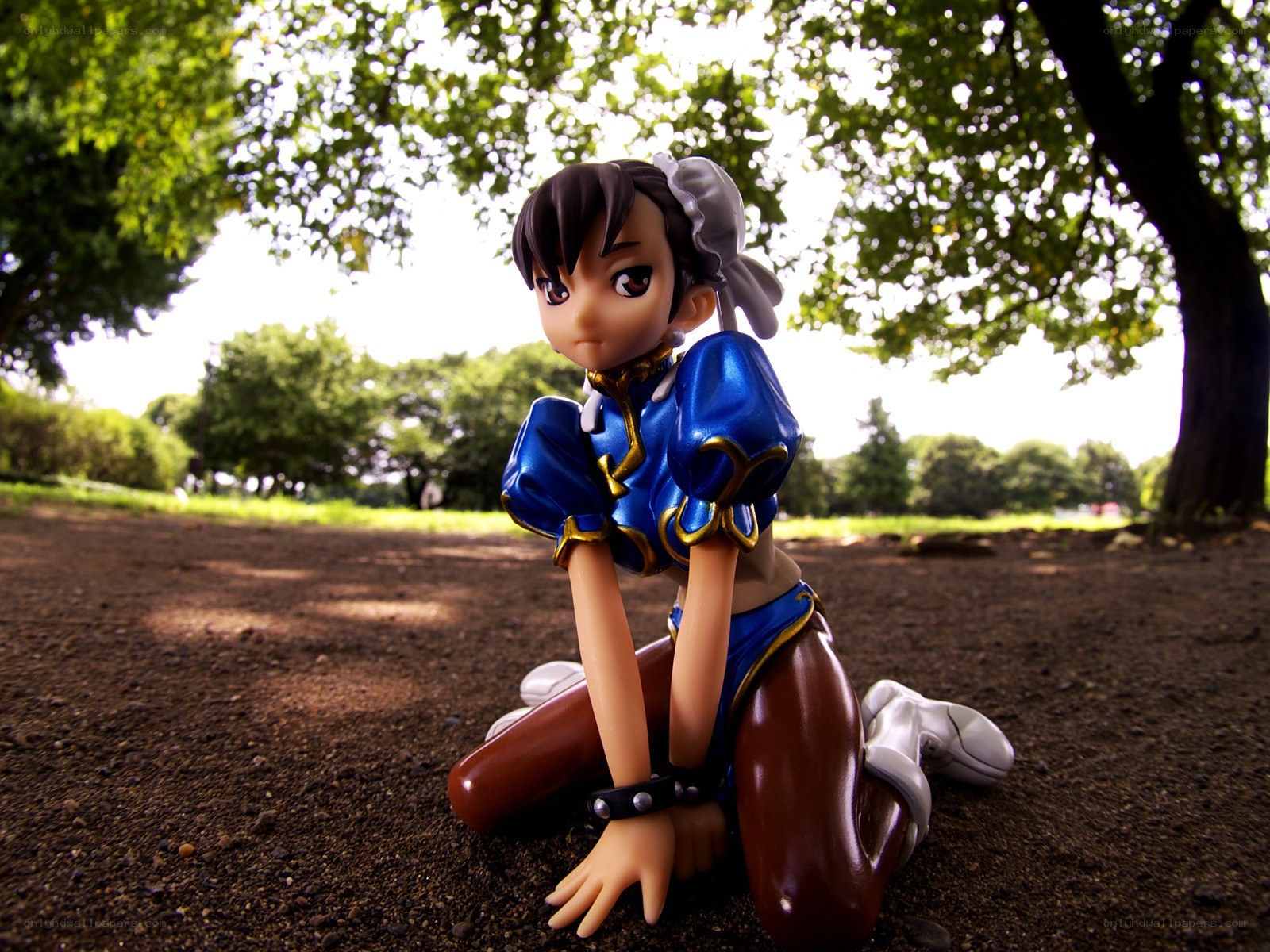 anime figurine in park