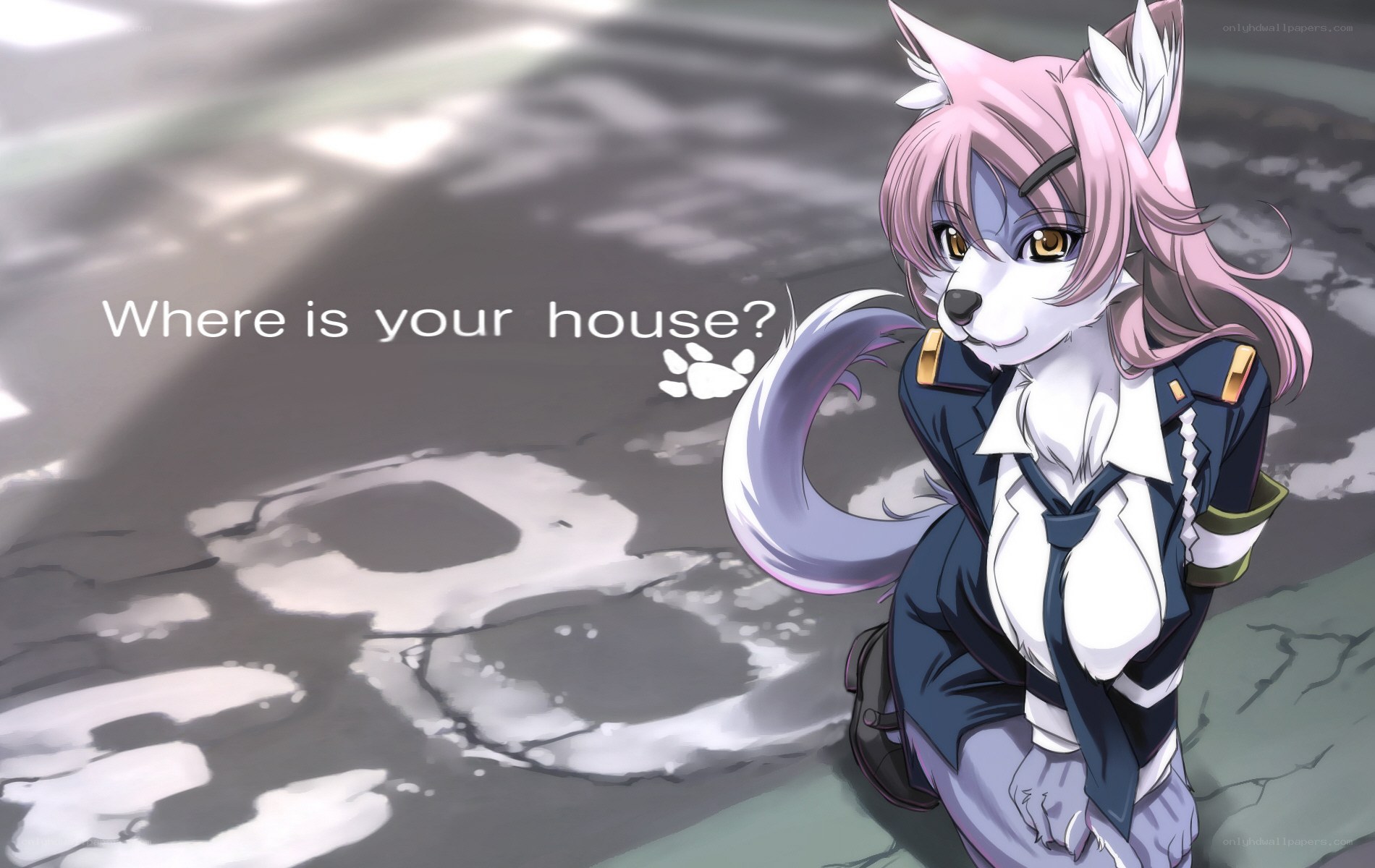 anime fox girl asking for house
