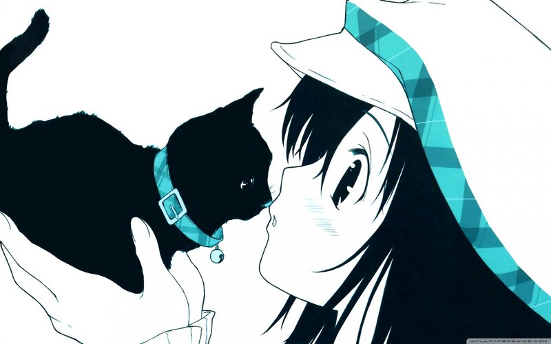 Anime Girl and Black Cat