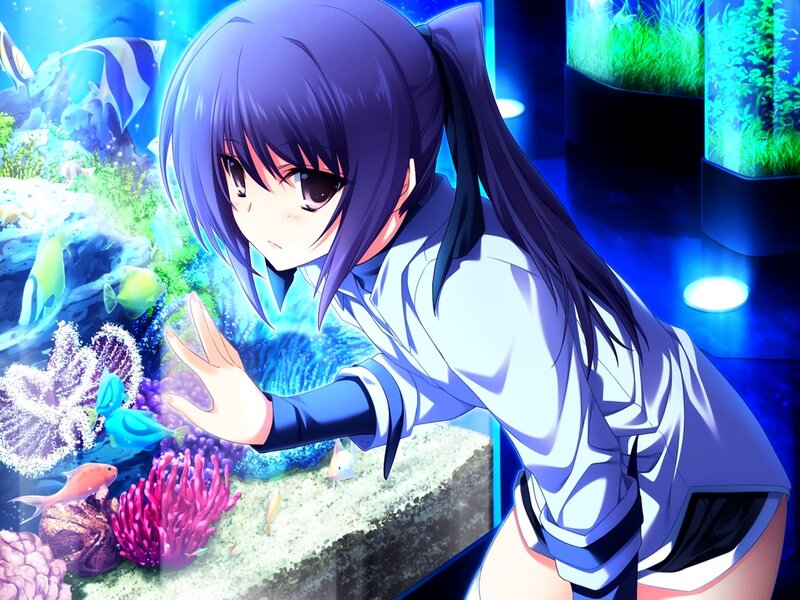 Anime Girl at Aquarium — Blue, Calm