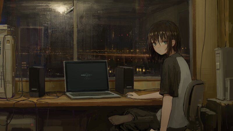 Anime Girl at Computer — Brown, Calm, Night, Digital Art, Laptop, Desk