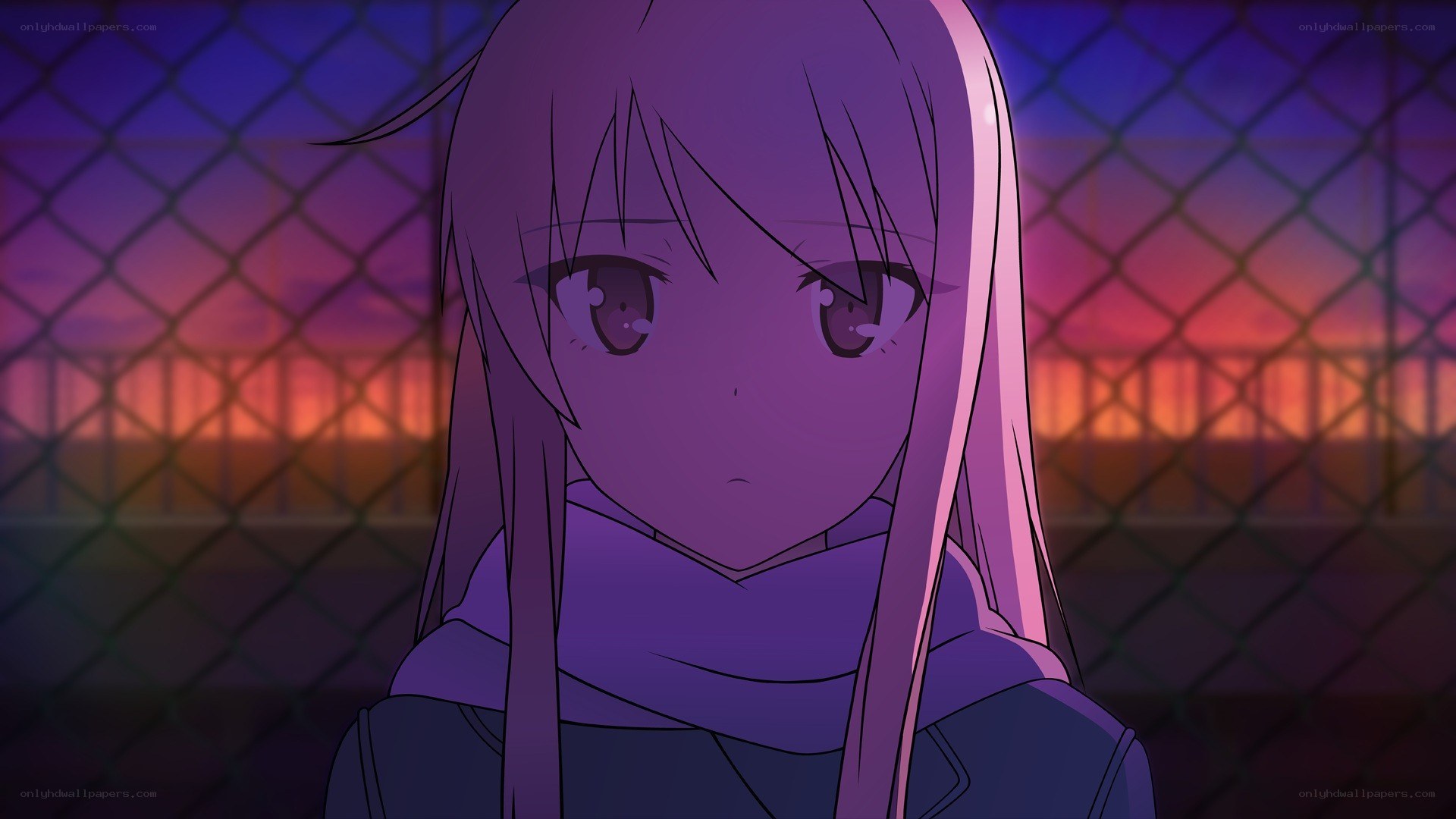 anime girl at dusk