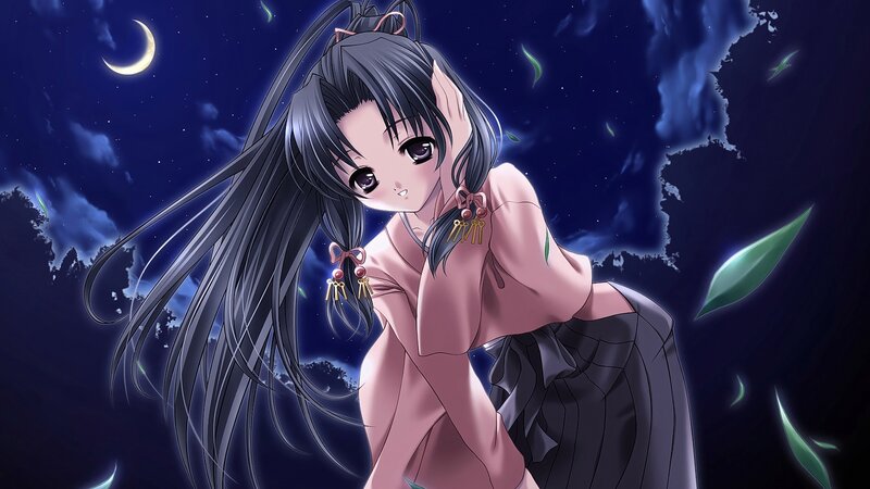 Anime Girl at Night — Blue, Serene, Moon, Leaves, Night Sky