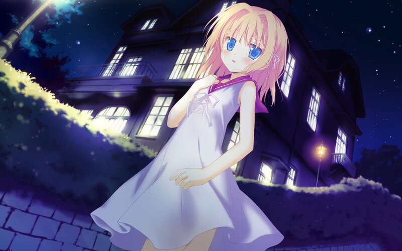 anime girl at night in front of house