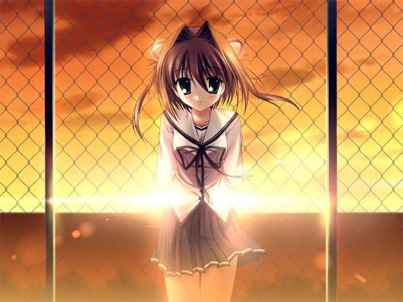 anime girl at sunset