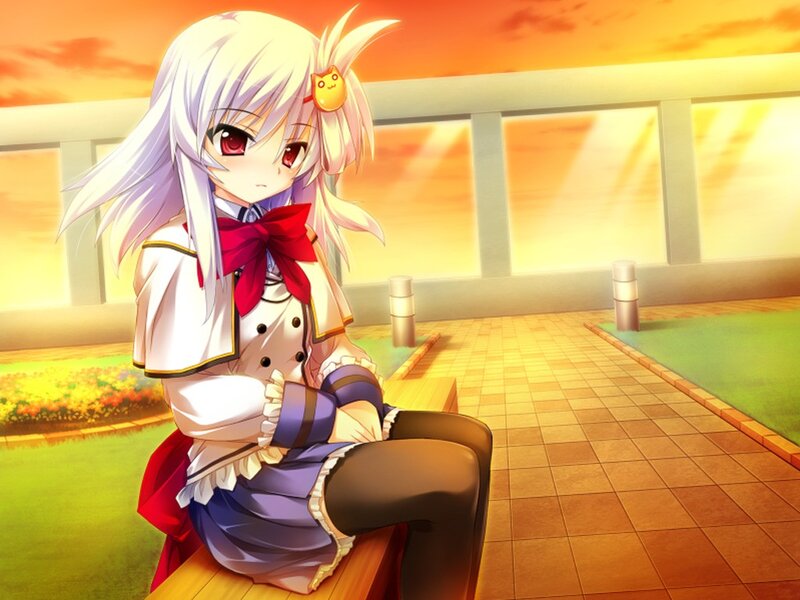 anime girl at sunset