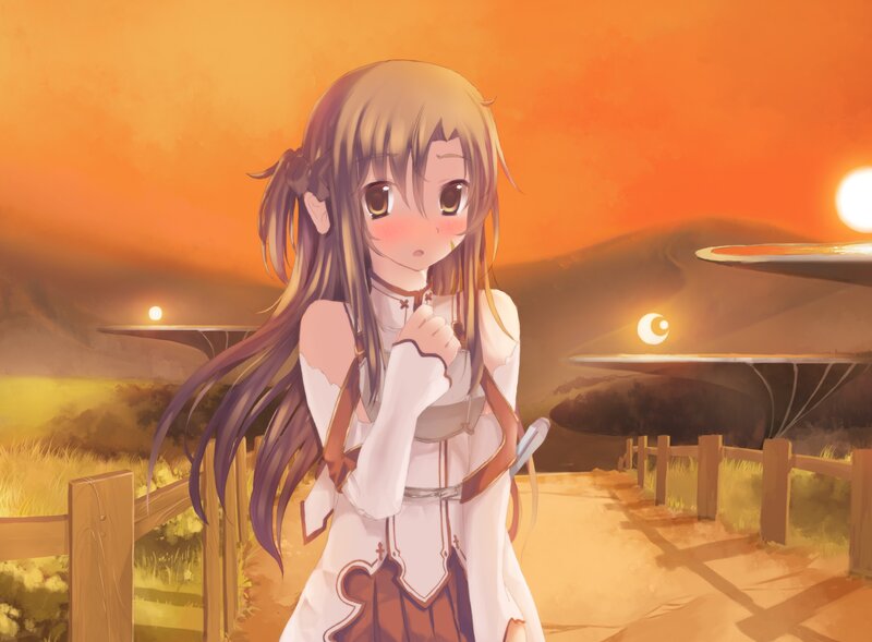anime girl at sunset