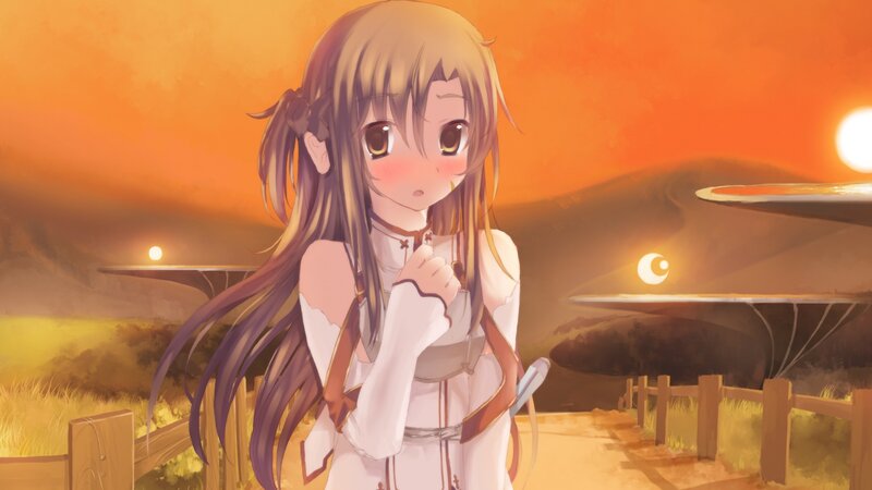 anime girl at sunset