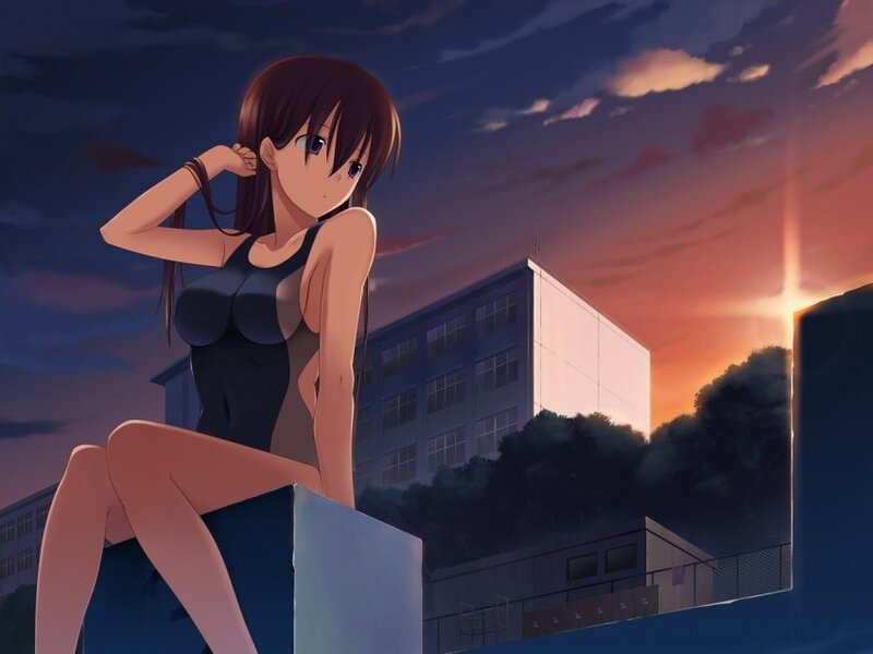 anime girl at sunset