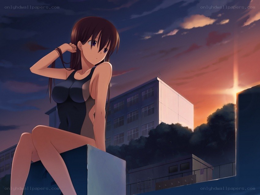 anime girl at sunset