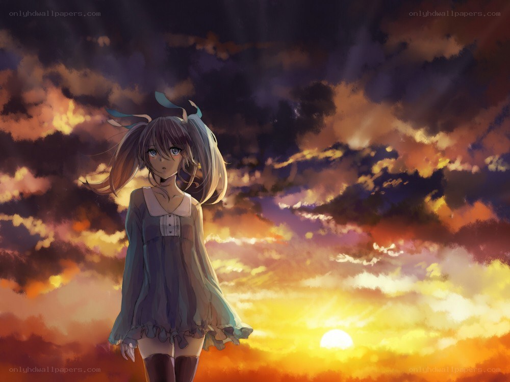 anime girl at sunset