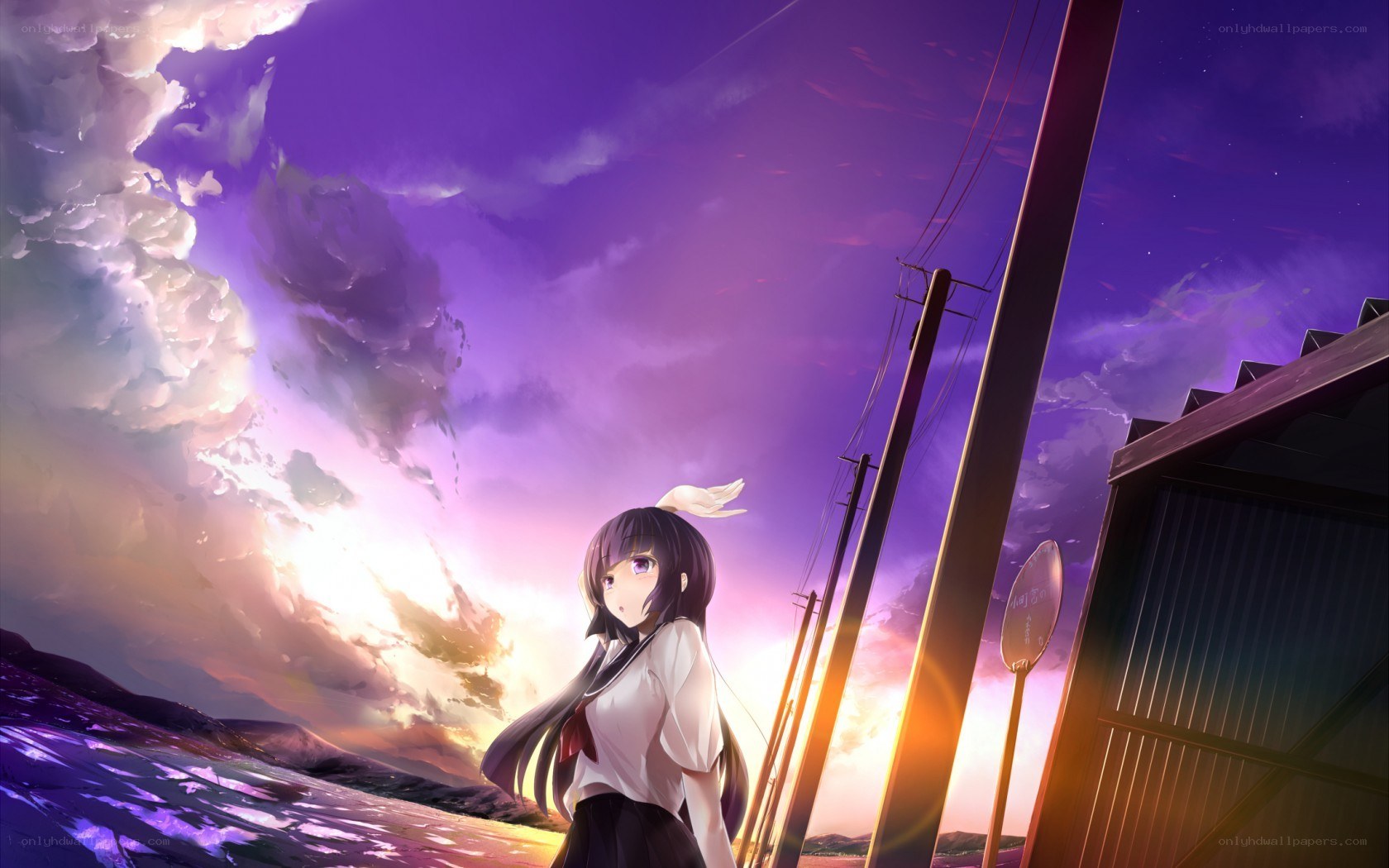 anime girl at sunset